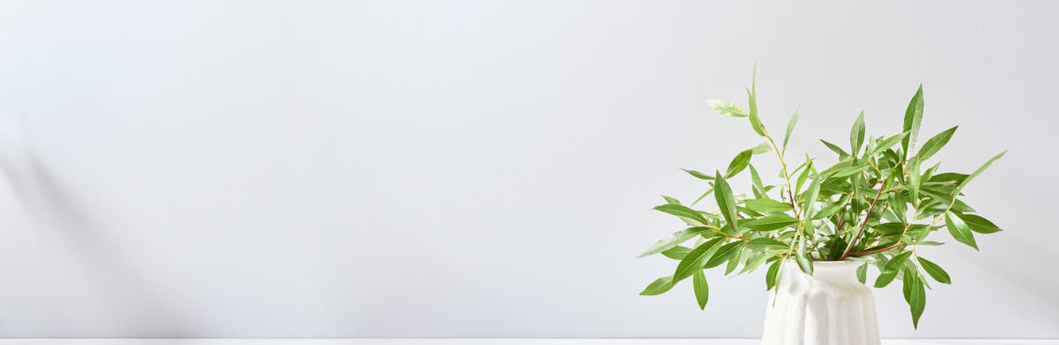 Vase composed of foliage. The leaves are more prominent than the vase.